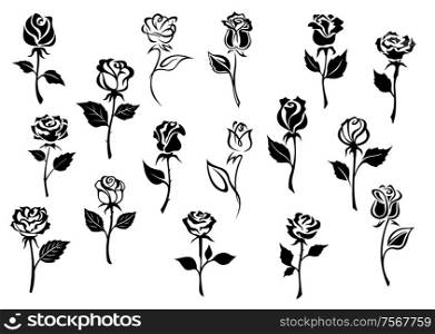 Black and white elegance roses flowers set for any floral design or love concept