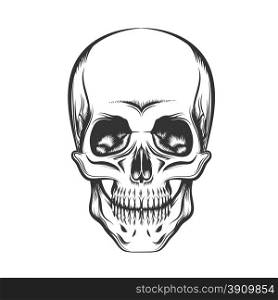 Black and white human skull. Engraving style. Isolated on white background.