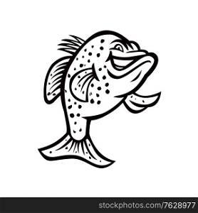 Black and white illustration of a crappie, croppie, papermouths, strawberry bass, speckled bass, specks, speckled perch, crappie bass or calico bass, standing up done in retro style.. Crappie Fish Standing Up Mascot Black and White