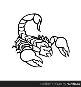 Black and white illustration of a scorpion, a predatory arachnid of the order Scorpiones, with sting in it&rsquo;s tail or venomous stinger about to strike on isolated background in retro style.. Scorpion With Stinger About to Attack Mascot Black and White