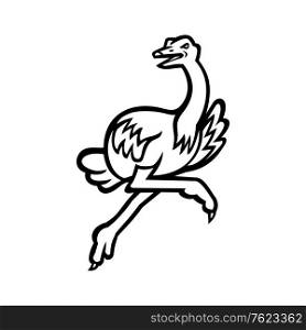 Black and white illustration of an ostrich or common ostrich, a large flightless bird native to Africa running at full speed viewed from side on isolated background in retro style.. Ostrich Running at Full Speed Side View Mascot Black and White