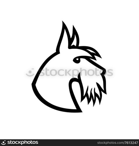 Black and White illustration of head of a Scottish Terrier, Aberdeen Terrier or Scottie dog viewed from side on isolated background in retro style.. Scottish Terrier Head Side Black and White