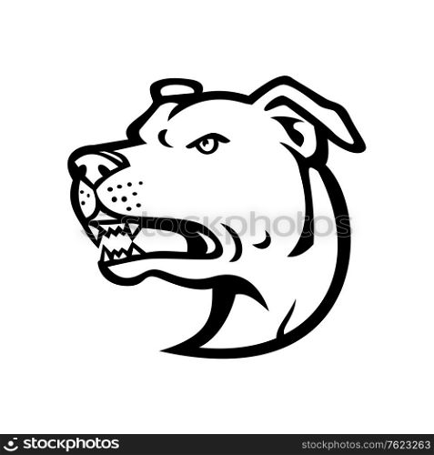 Black and white illustration of head of an angry American Staffordshire Terrier or Amstaff, a medium-sized, short-coated American dog breed in the pit bull group on isolated background in retro style.. American Staffordshire Terrier Head Mascot Black and White