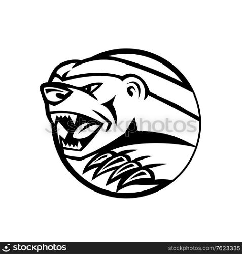 Black and white illustration of head of an angry honey badger, also known as the ratel, the only species in the mustelid subfamily Mellivorinae, swiping set in circle on isolated background.. Angry Honey Badger Swiping Attacking Mascot Black and White