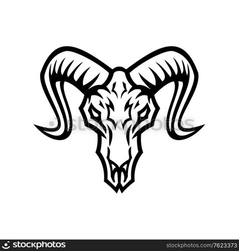 Black and white illustration of skull of bighorn sheep or ram viewed from front on isolated background in retro style.. Bighorn Sheep Skull Front View Mascot Retro Black and White