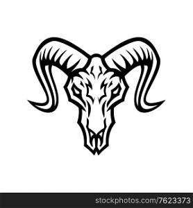 Black and white illustration of skull of bighorn sheep or ram viewed from front on isolated background in retro style.. Bighorn Sheep Skull Front View Mascot Retro Black and White