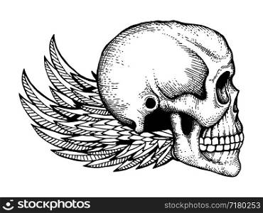 Black and white ink sketched human skull with wings isolated on white background. Vector skull horror and wing illustration. Black and white ink sketched human skull with wings isolated on white background