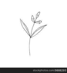 Black and white line art decoration of cotton flower with leaves. Vector isolated clipart. Minimal monochrome hand drawing botanical design. Contour engraving bud. Contour engraving bud. Black and white line art decoration of cotton flower with leaves. Vector isolated clipart. Minimal monochrome hand drawing botanical design.