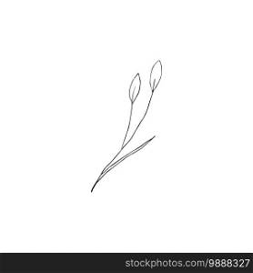 Black and white line art decoration of cotton flower with leaves. Vector isolated clipart. Minimal monochrome hand drawing botanical design. Contour engraving bud. Contour engraving bud. Black and white line art decoration of cotton flower with leaves. Vector isolated clipart. Minimal monochrome hand drawing botanical design.