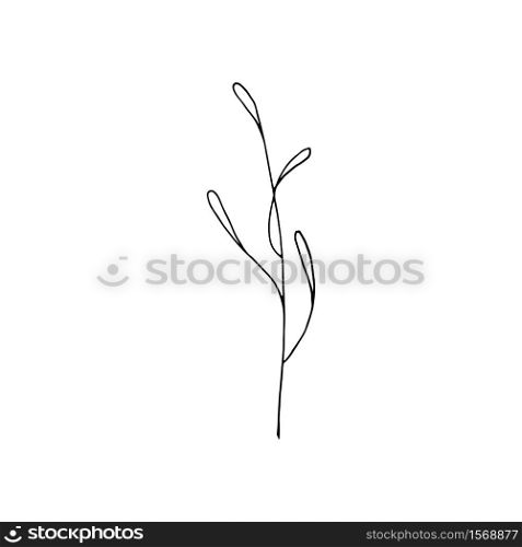 Black and white line art decoration of leaves. Vector isolated clipart. Minimal monochrome hand drawing botanical design. Contour foliage
