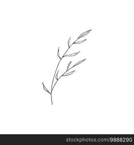 Black and white line art decoration of leaves. Vector isolated clipart. Minimal monochrome hand drawing botanical design. Contour engraving branch