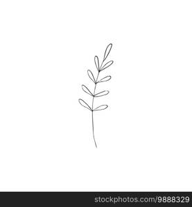 Black and white line art decoration of leaves. Vector isolated clipart. Minimal monochrome hand drawing botanical design. Contour branch