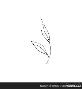 Black and white line art decoration of leaves. Vector isolated clipart. Minimal monochrome hand drawing botanical design. Contour foliage. Contour foliage. Black and white line art decoration of leaves. Vector isolated clipart. Minimal monochrome hand drawing botanical design.
