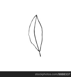 Black and white line art decoration of leaves. Vector isolated clipart. Minimal monochrome hand drawing botanical design. Contour foliage. Contour foliage. Black and white line art decoration of leaves. Vector isolated clipart. Minimal monochrome hand drawing botanical design.