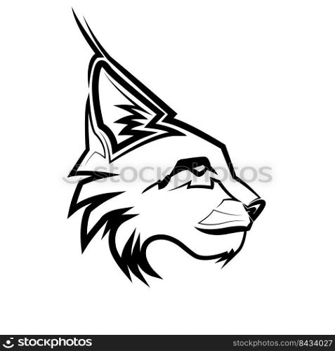 Black and white line art of wildcat head.