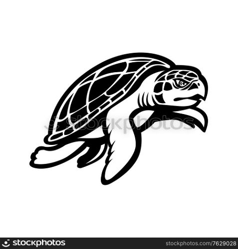 Black and white mascot illustration of a Kemp&rsquo;s ridley sea turtle, or the Atlantic ridley sea turtle, the rarest species of sea turtle, swimming viewed from side on isolated background in retro style.. Kemp&rsquo;s Ridley Sea Turtle Swimming to Right Mascot Black and White