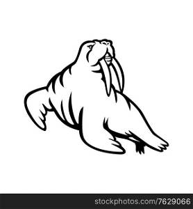 Black and white mascot illustration of a male mustached and long-tusked Atlantic or Pacific walrus, a large flippered marine mammal viewed from side on isolated background in retro style.. Long-tusked Atlantic or Pacific Walrus Mascot Black and White