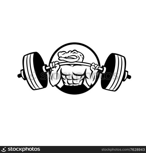 Black and white mascot illustration of an alligator, gator, crocodile or croc lifting a heavy barbell weight training or weightlifting viewed from front set inside circle on isolated background in retro style.. Alligator Lifting Heavy Barbell Weight Circle Mascot Black and White