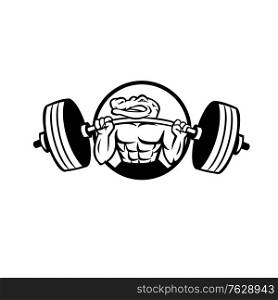 Black and white mascot illustration of an alligator, gator, crocodile or croc lifting a heavy barbell weight training or weightlifting viewed from front set inside circle on isolated background in retro style.. Alligator Lifting Heavy Barbell Weight Circle Mascot Black and White