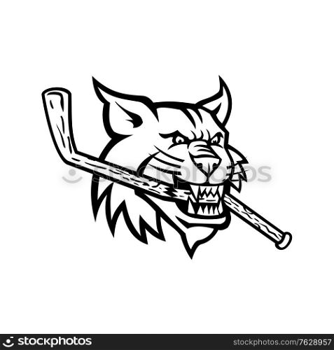 Black and white mascot illustration of head of a bobcat, a North American cat, biting a broken wooden ice hockey stick viewed from side on isolated background in retro style.. Bobcat Biting Ice Hockey Stick Mascot Black and White