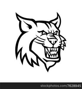 Black and white mascot illustration of head of a bobcat or Canadian lynx, a North American cat, viewed from front on isolated background in retro style.. Angry Bobcat or Canadian Lynx Head Mascot Black and White