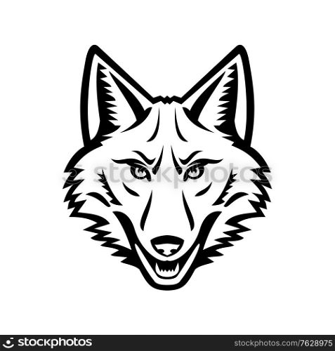 Black and white mascot illustration of head of a coyote or Canis latrans, a canine native to North America viewed from the front on isolated background in retro style.. Head of a Coyote Front View Mascot Black and White