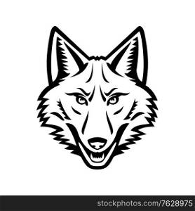 Black and white mascot illustration of head of a coyote or Canis latrans, a canine native to North America viewed from the front on isolated background in retro style.. Head of a Coyote Front View Mascot Black and White