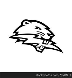 Black and white mascot illustration of head of a North American beaver, a large, primarily nocturnal, semi-aquatic rodent, biting lightning bolt or thunderbolt side view on isolated background in retro style.. North American Beaver Biting Lightning Bolt Mascot Black and White
