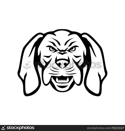Black and white mascot illustration of head of an angry and aggressive Hungarian or Magyar Vizsla sporting, pointer and retriever dog viewed from front on isolated background in retro style.. Angry Hungarian Vizsla Dog Head Mascot Black and White
