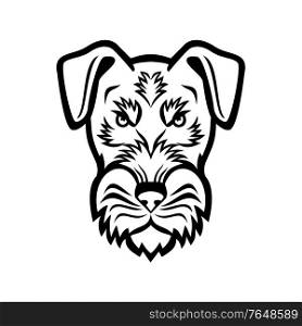 Black and White Mascot illustration of head of an angry Jagdterrier, Hunting Terrier or German Hunt Terrier, a breed of working dog viewed from front on isolated background in retro style.. Head of Angry Jagdterrier Hunting Terrier or German Hunt Terrier Mascot Black and White