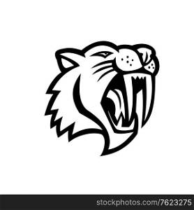 Black and white mascot illustration of head of an angry saber-toothed cat or Smilodon, viewed from side on isolated background in retro style.. Angry Saber Toothed Cat Head Mascot Black and White