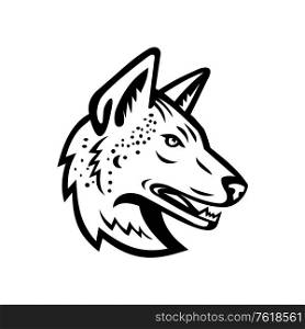 Black and white mascot illustration of head of an Arabian wolf or Canis lupus arabs, a subspecies of gray wolf viewed from side on isolated background in retro style.. Gray Wolf or Arabian Wolf Head Mascot Black and White