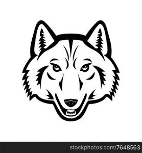 Black and white mascot illustration of head of an Arctic wolf, white wolf or polar wolf, a subspecies of gray wolf viewed from front on isolated background in retro style.. Head of Artic Wolf Front View Mascot Black and White