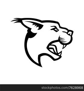 Black and white mascot illustration of head of caracal, a medium-sized wild cat native to Africa with short face, long tufted ears, and long canine teeth viewed from side on isolated background in retro style.. Head of Angry Caracal Side Mascot Black and White