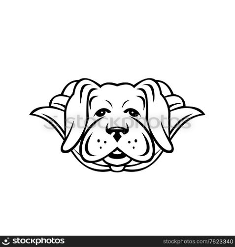 Black and white mascot style illustration of a super yellow labrador retriever dog wearing a cape viewed from front on isolated background in retro style.. Super Yellow Labrador Dog Wearing Cape Front View Black and White