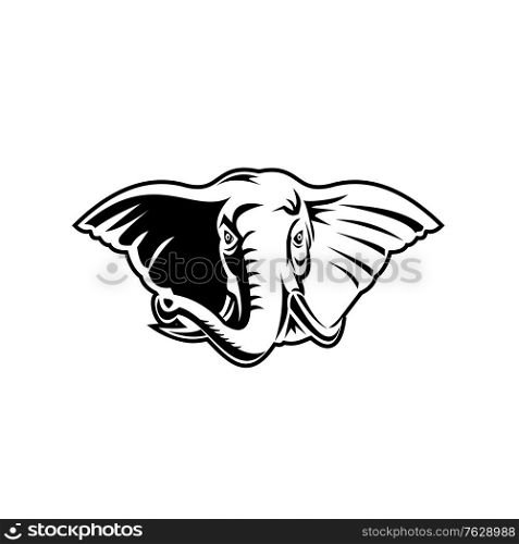 Black and white retro mascot style illustration of an elephant with long tusks viewed from front on isolated white background.. Elephant With Long Tusks Head Front Mascot Retro Black and White