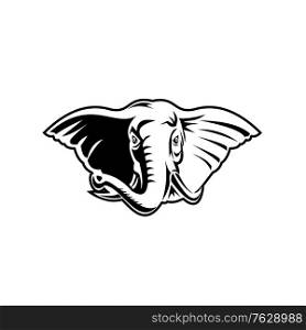 Black and white retro mascot style illustration of an elephant with long tusks viewed from front on isolated white background.. Elephant With Long Tusks Head Front Mascot Retro Black and White