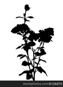 Black and White Rose Silhouette. Vector Illustration. EPS10. Black and White Rose Silhouette. Vector Illustration.