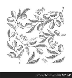 Black and white seamless pattern with abstract olive leaves and berries on white background hand drawing vector illustration. Black And White Seamless Pattern