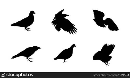 Black and white silhouette dove crow isolated. Vector Illustration. EPS10. Black and white silhouette dove crow isolated. Vector Illustration