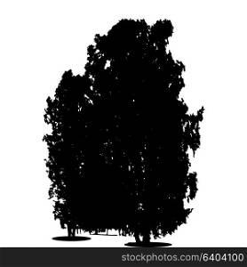Black and White Silhouette of Deciduous Tree, whose branches develop in the wind. Vector Illustration. EPS10. Black and White Silhouette of Deciduous Tree, whose branches dev