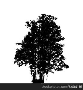 Black and White Silhouette of Deciduous Tree, whose branches develop in the wind. Vector Illustration. EPS10. Black and White Silhouette of Deciduous Tree, whose branches dev