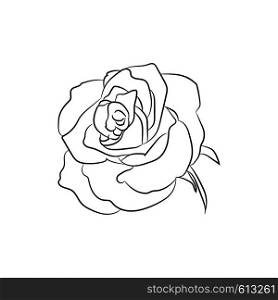 Black and white sketch of rose flower black and white, vector illustration
