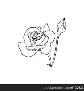 Black and white sketch of rose flower black and white, vector illustration