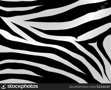 Black and white stripped zebra design