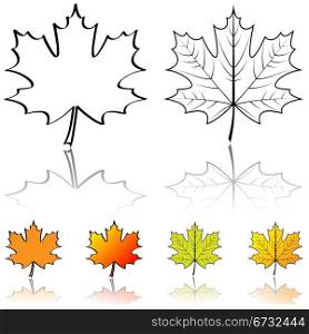 Black and white vector shapes of maple leaf with four color samples isolated on white background.