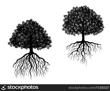 Black and white vector trees showing different root systems with intricate fibrous roots and differently shaped leafy canopies