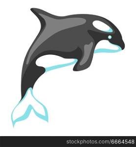 Black and white whale killer. Stylized illustration, icon or emblem.. Black and white whale killer.
