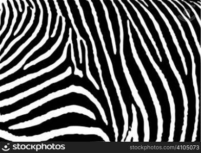 Black and white zebra pattern background with simple deisgn