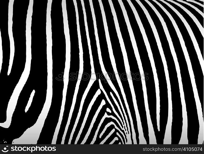 Black and white zebra skin or hide that makes ideal background